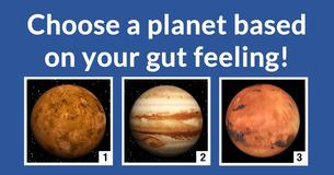 Which star sign should you date?
