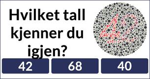 Kan du virkelig se like godt som du tror?