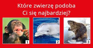 Bazując na Twoich mocnych stronach, w której dziedzinie zrobisz karierę?