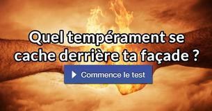 Quel tempérament se cache derrière ta façade ?