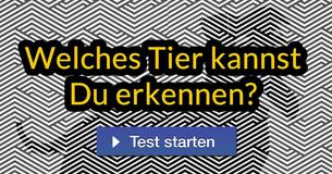 Nur eine kleine Prozentzahl der Menschen können diese versteckten Bilder erkennen! Kannst Du es? 