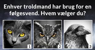 Hvad er din magiske kraft?