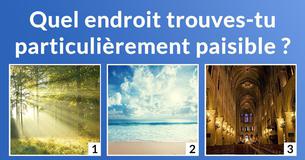 Quelle est la couleur de ta personnalité ?