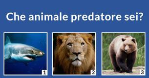 Che animale predatore sei?