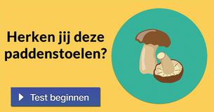 Herken jij deze paddenstoelen?