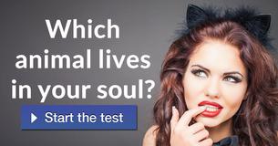 Which animal lives in your soul?