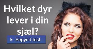 Hvilket dyr lever i din sjæl?
