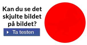 Bare noen få kan se det skjulte bildet i bildene! Greier du?