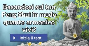 Basandosi sul tuo Feng Shui in modo quanto armonico vivi?