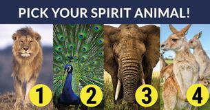 What Kind Of Angel Are You?