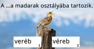 Ki tudod egészíteni helyesen ezeket az igazán nehéz mondatokat? 