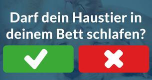 Was denkt Dein Haustier über Dich?