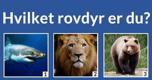 Hvilket rovdyr er du?