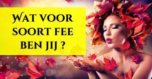 Wat voor soort fee ben jij ?