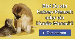 Bist Du ein Katzen-Mensch oder ein Hunde-Mensch?