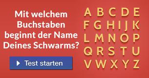 Mit welchem Buchstaben beginnt der Name Deines Schwarms?