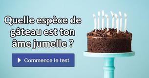 Quelle espèce de gâteau est ton âme jumelle ?