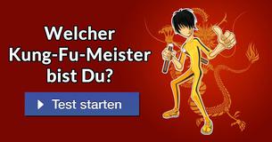 Welcher Kung-Fu-Meister bist Du?