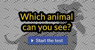 Only a small number of people are able to identify these hidden images! Can you?