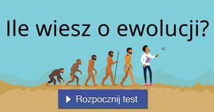 Ile wiesz o ewolucji?