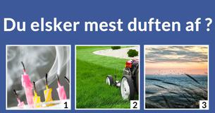 Er du luft, vand, ild eller jord?
