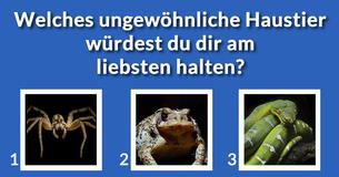 Welcher Charakter aus der Addams Family bist Du?