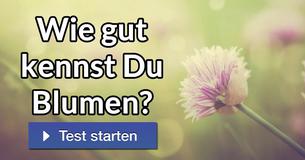 Wie gut kennst Du Blumen?