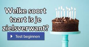 Welke soort taart is je zielsverwant?