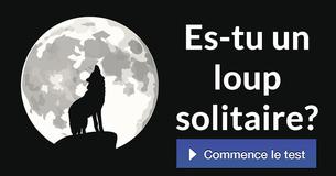 Es-tu un loup solitaire?