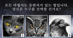 당신은 어떤 마법의 힘을 가졌을까요?