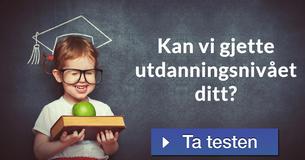 Kan vi gjette utdanningsnivået ditt?