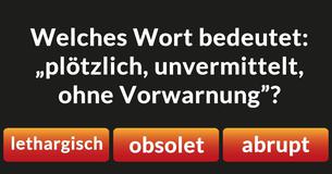 Kennst Du die Bedeutung dieser schwierigen Worte?