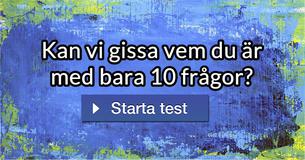 Kan vi gissa vem du är med bara 10 frågor?