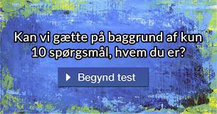 Kan vi gætte på baggrund af kun 10 spørgsmål, hvem du er?