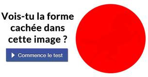 Rares sont les personnes à pouvoir distinguer les formes cachées dans ces images ! Et toi ?