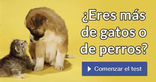 ¿Eres más de gatos o de perros?