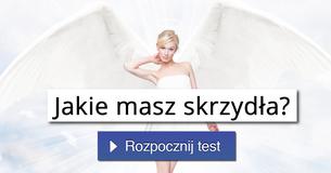 Jakie masz skrzydła?
