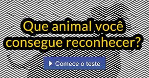 Somente uma pequena porcentagem das pessoas consegue reconhecer essas imagens escondidas. Será que você consegue reconhecê-las também?