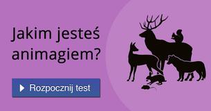 Jakim jesteś animagiem?