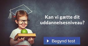 Kan vi gætte dit uddannelsesniveau?