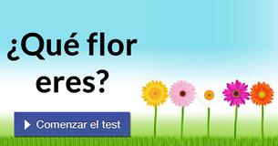 ¿Qué flor eres?