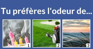 Es-tu l'air, l'eau, le feu ou la terre?