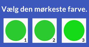 Den visuelle test, som kun piloter kan bestå!