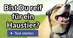 Bist Du reif für ein Haustier?