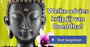 Welke advies krijg jij van Boeddha?
