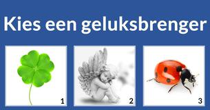 Wat adviseert je beschermengel je?
