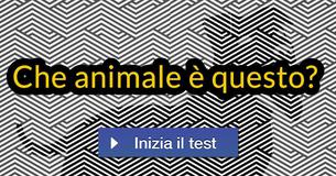 Solo una piccola percentuale di persone riesce a riconoscere queste immagini! Tu ci riuscirai? 