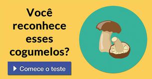Você reconhece esses cogumelos?