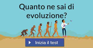 Quanto ne sai di evoluzione?