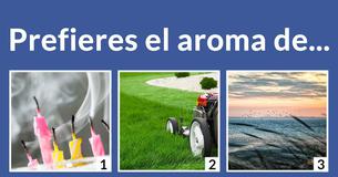 ¿Eres Aire, Agua, Fuego o Tierra?